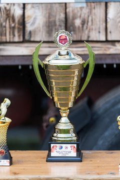 Bild 1 - Loewinnen Cup